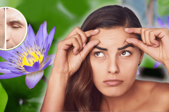 How To Use Blue Egyptian Plant For Wrinkles 2024