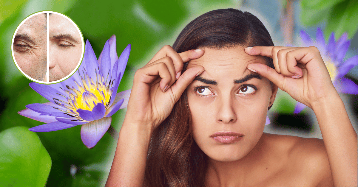 How To Use Blue Egyptian Plant For Wrinkles 2024